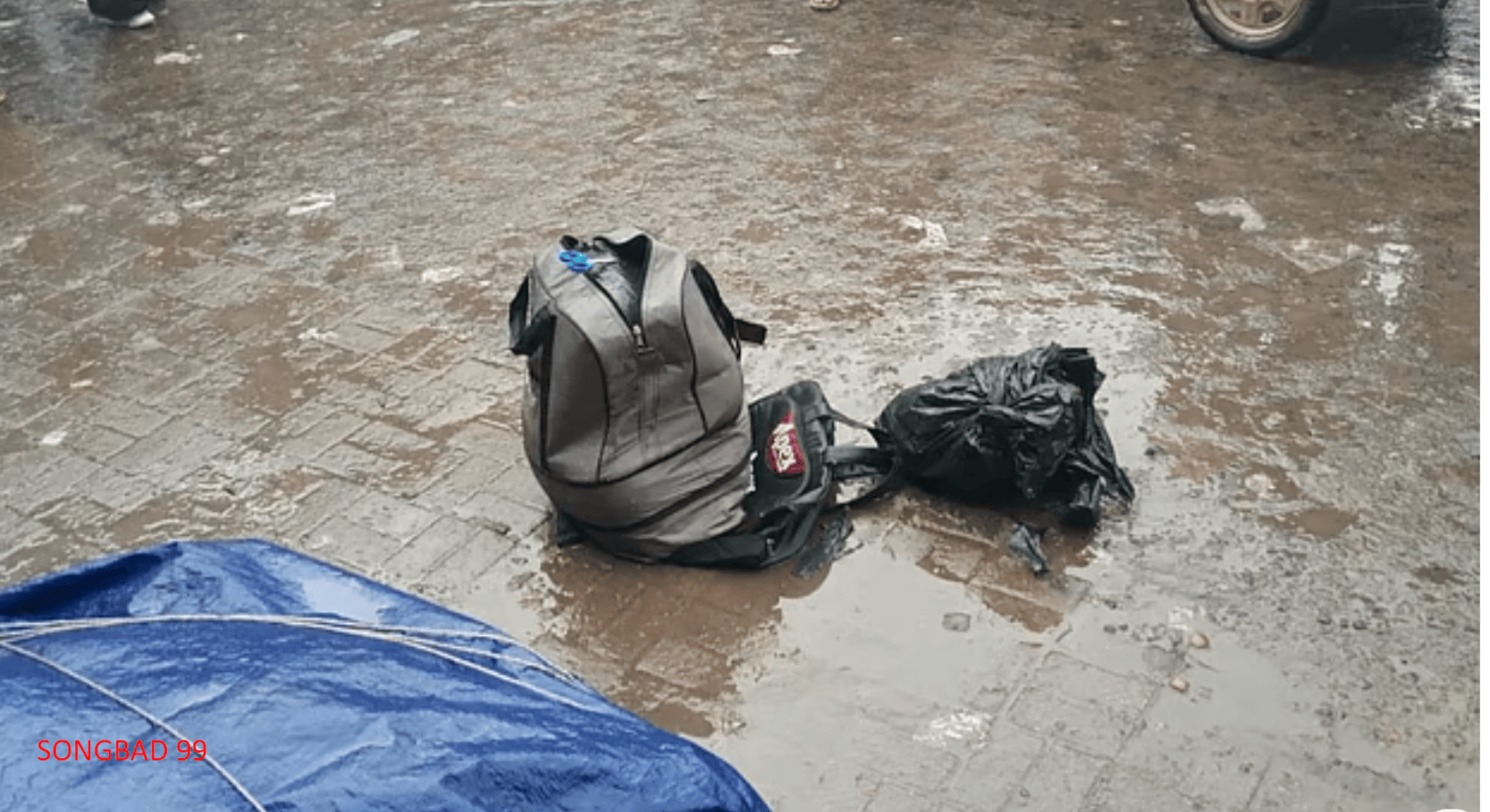 টঙ্গীতে কলেজের পেছনে ব্যাগ থেকে উদ্ধার মানবদেহের টুকরো, এলাকায় চাঞ্চল্য